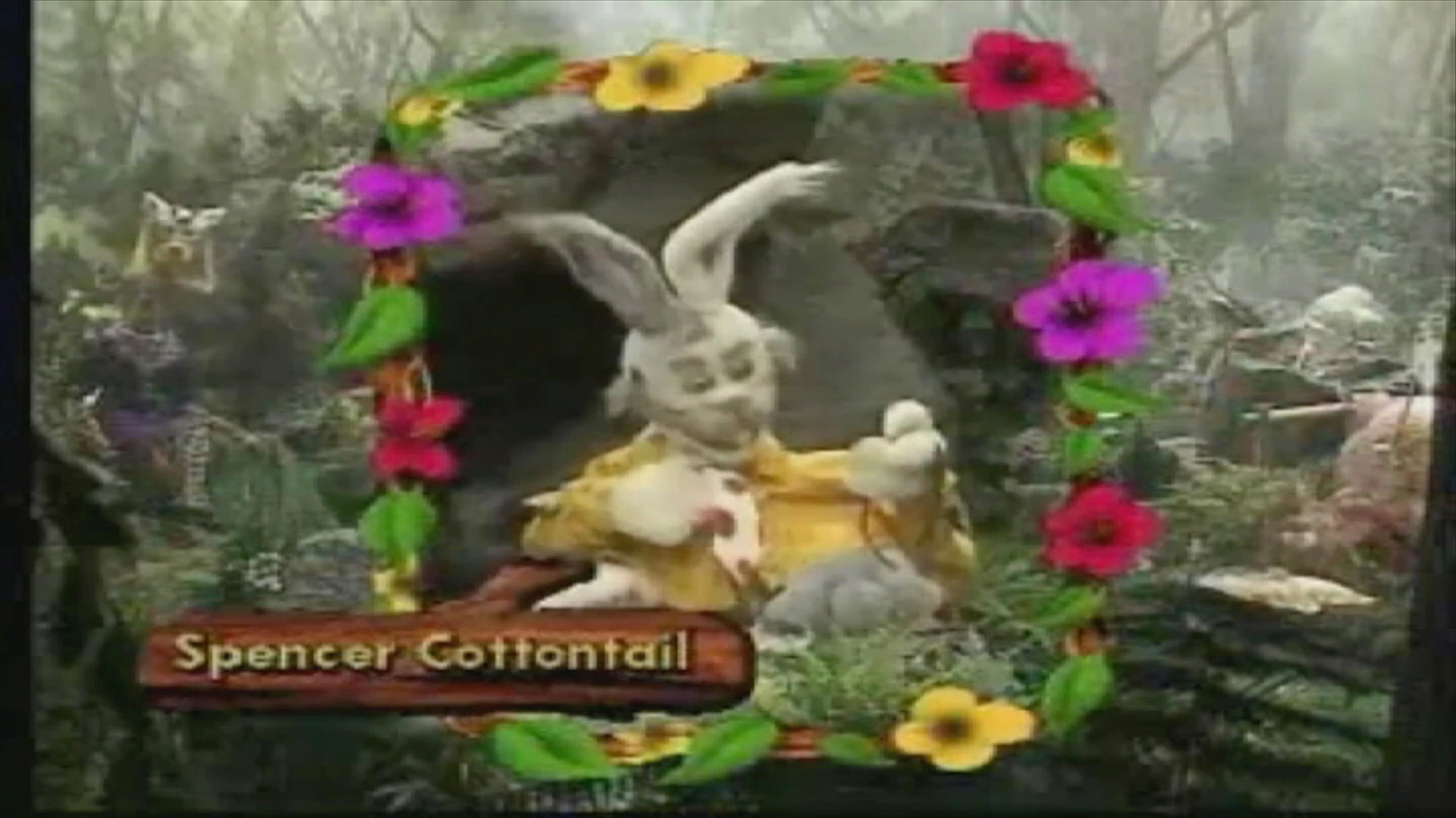 ANN - Spencer Cottontail